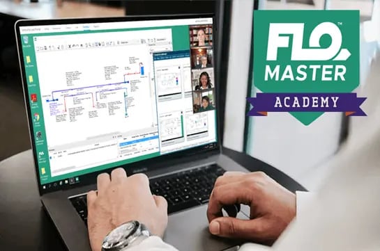 Person using engineering software on a laptop during an online session, with a FLOMASTER Academy logo displayed in the upper right corner.